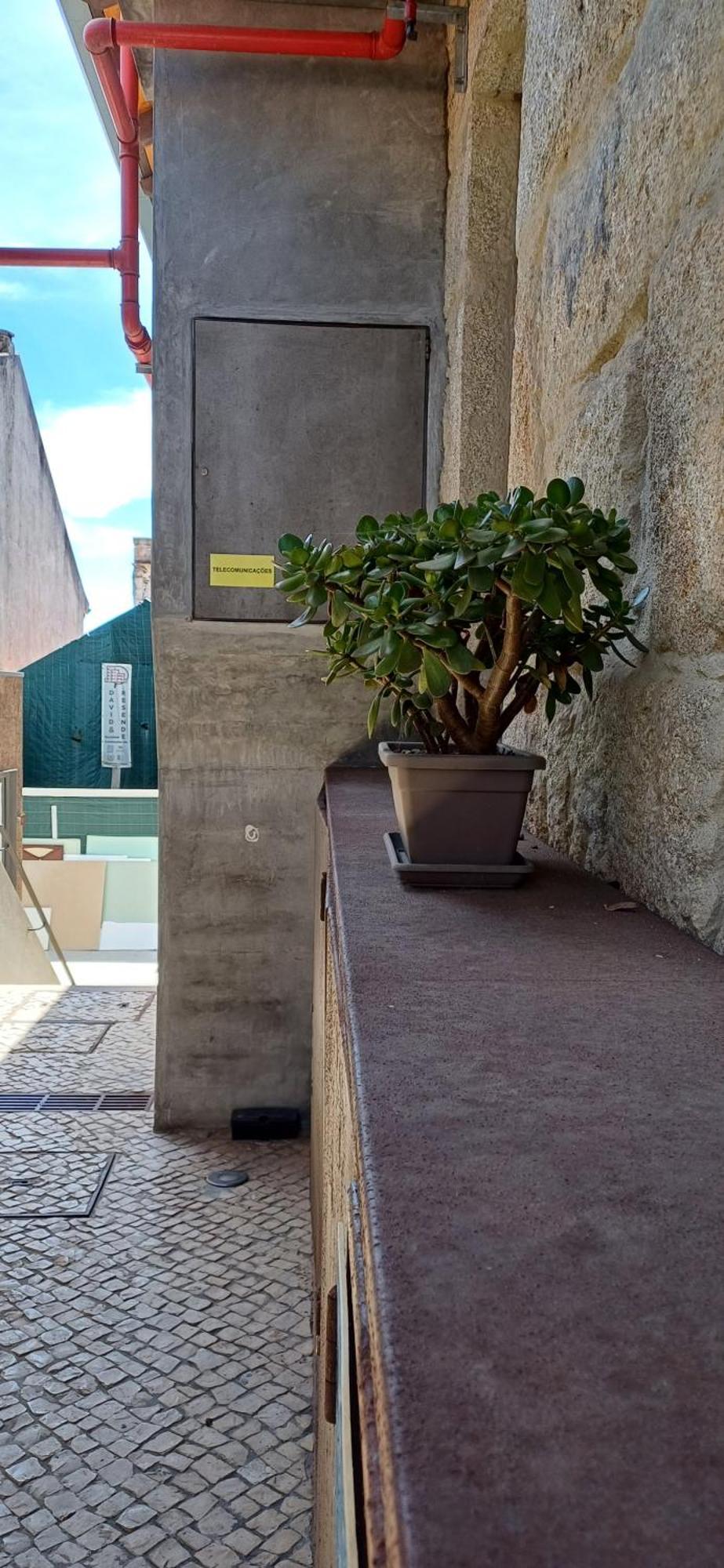 Typical Loft Oporto Downtown Apartment Ngoại thất bức ảnh